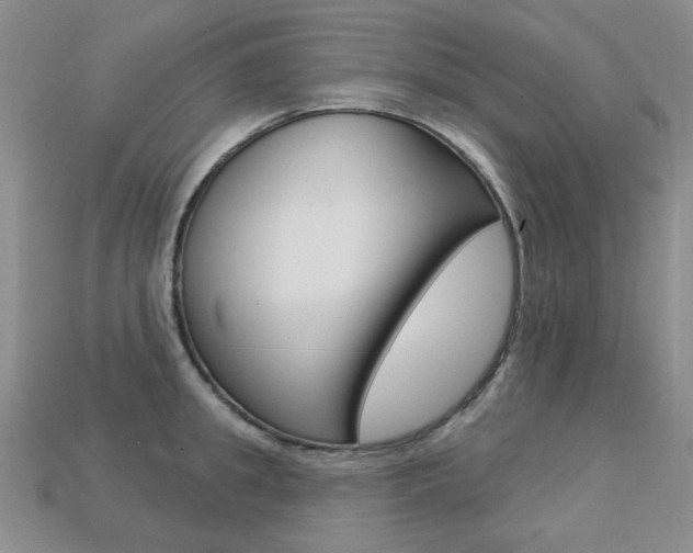 X0000113230949200909100940
