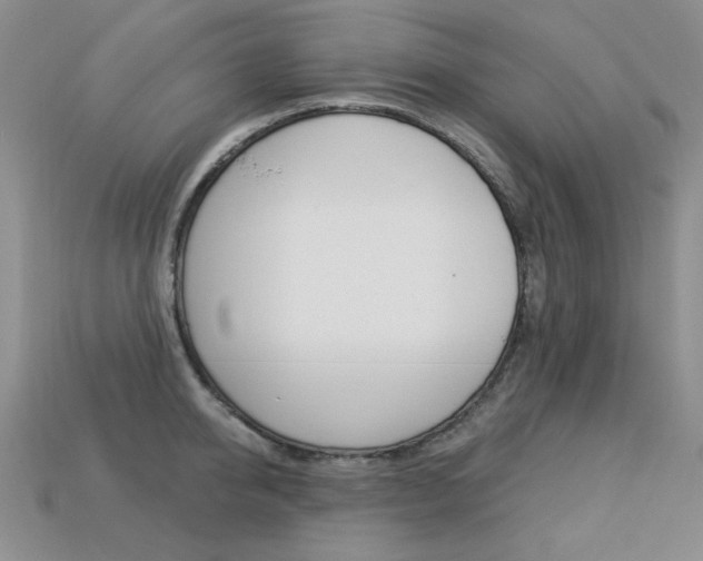 X0000113230950200909100940