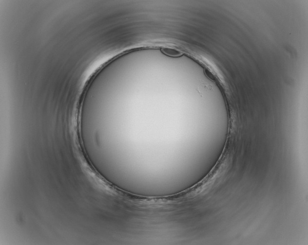 X0000113230952200909100940