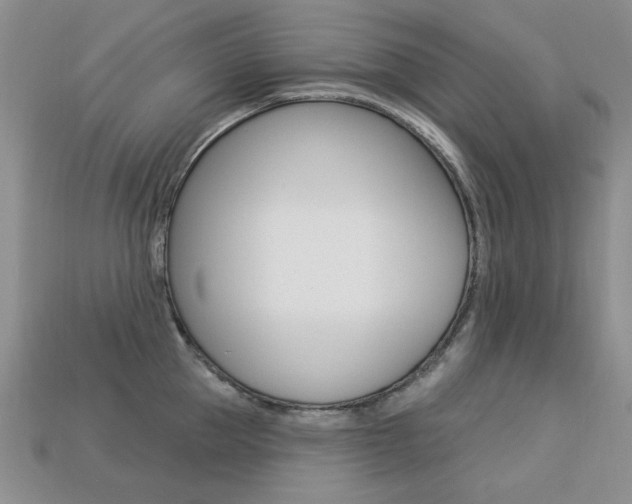 X0000113230953200909100940