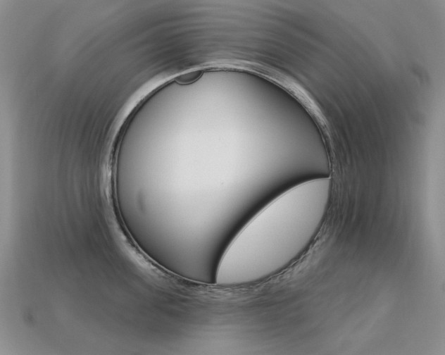 X0000113230955200909100940