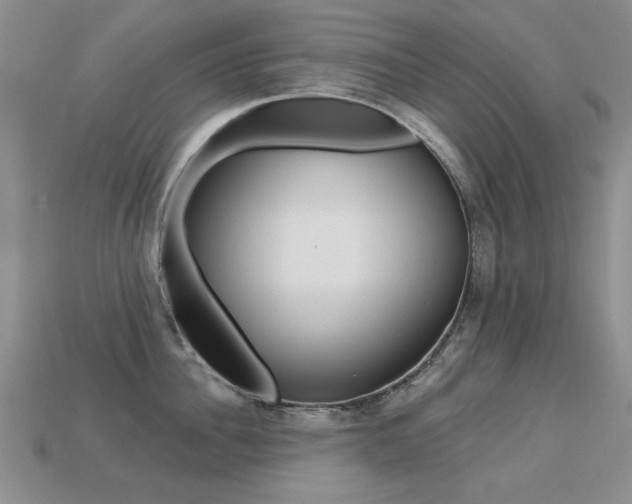 X0000113230956200909100941