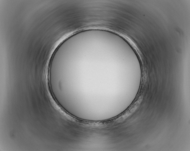 X0000113230957200909100941
