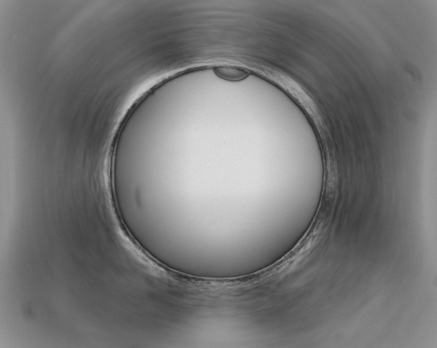 X0000113230958200909100941