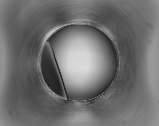 X0000113230960200909100941