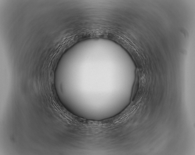 X0000113230961200909100940
