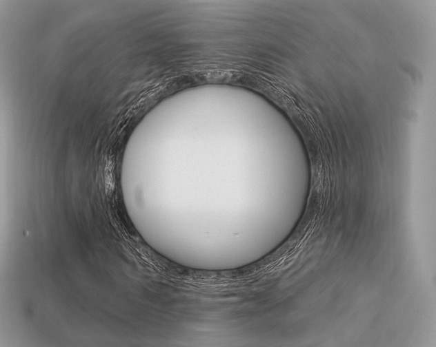 X0000113230962200909100940