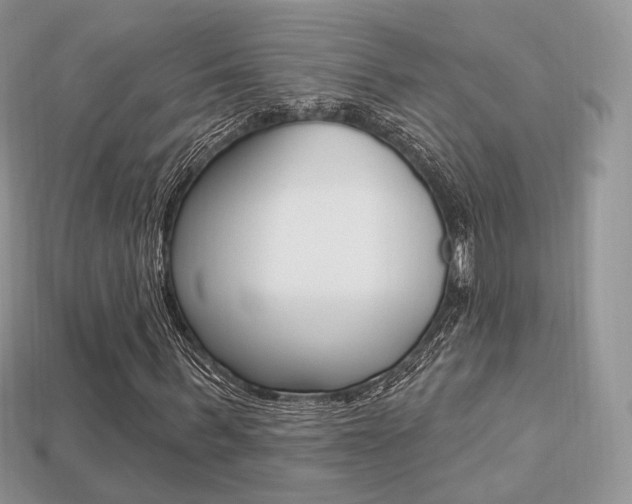 X0000113230963200909100940