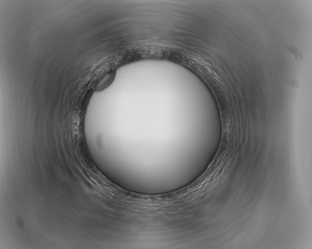 X0000113230964200909100940