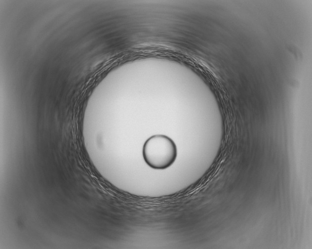X0000113230965200909100940