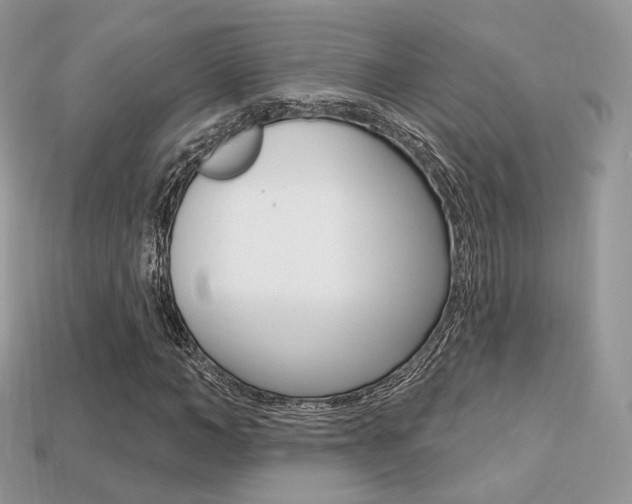 X0000113230966200909100940