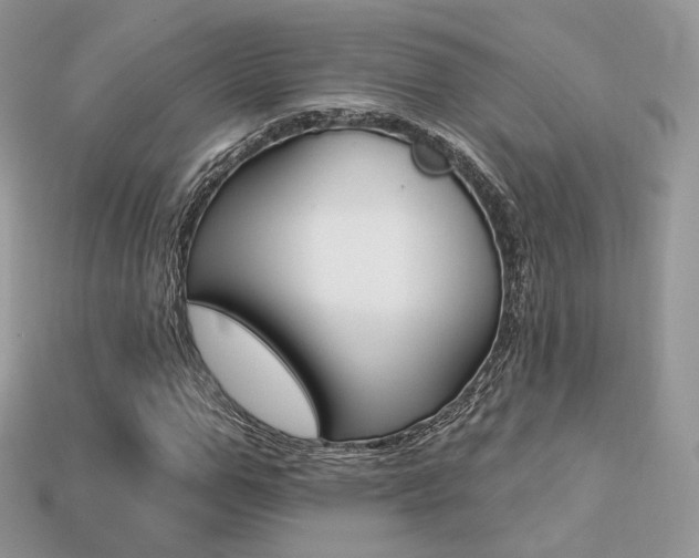 X0000113230967200909100940