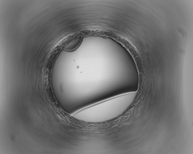 X0000113230968200909100940