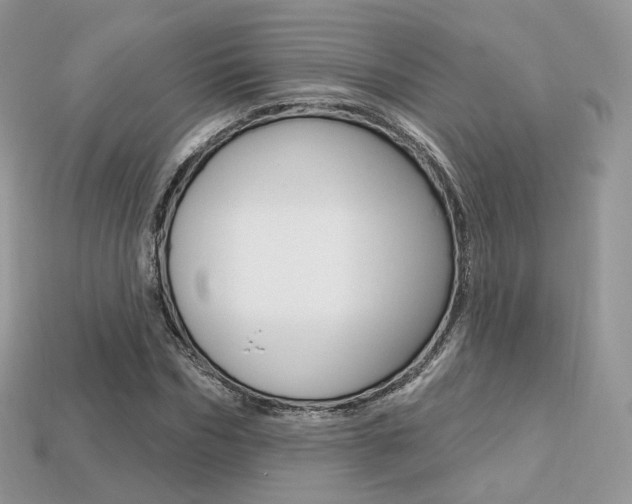X0000113230970200909100940
