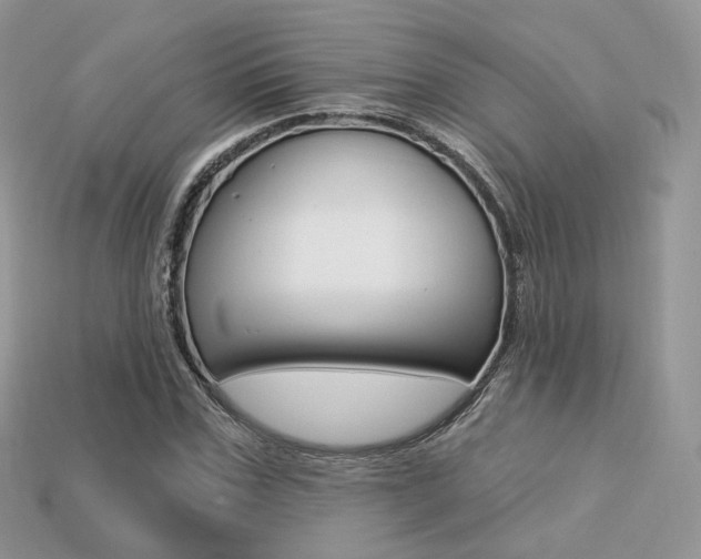 X0000113230971200909100940