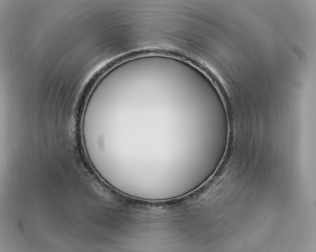 X0000113230975200909100940