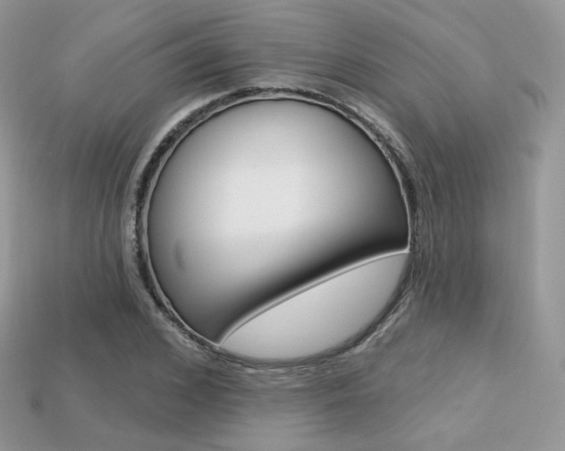 X0000113230976200909100940