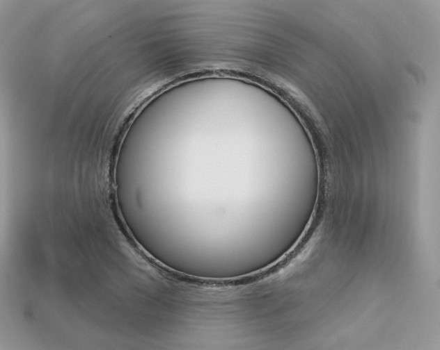 X0000113230977200909100940