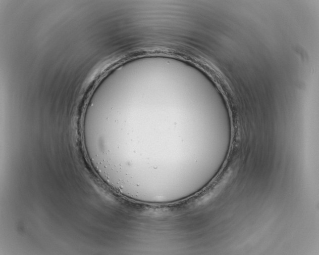 X0000113230978200909100940