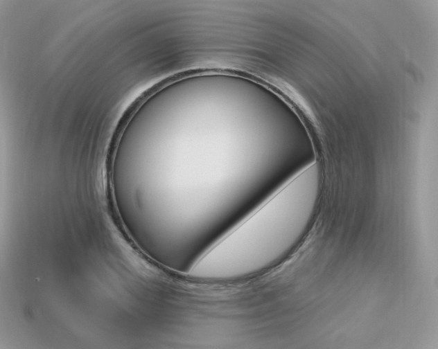 X0000113230980200909100940