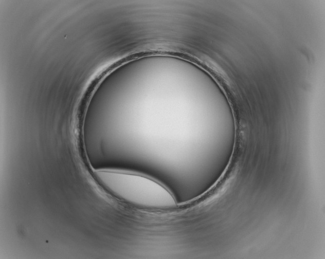 X0000113230981200909100940