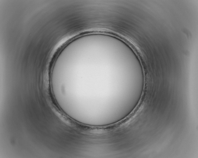 X0000113230982200909100940