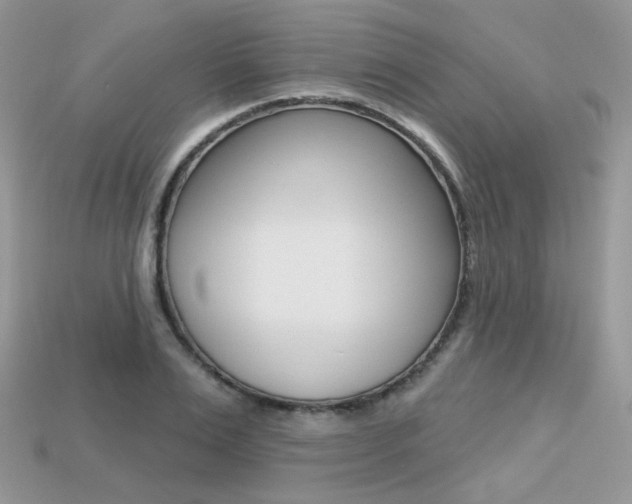 X0000113230983200909100940