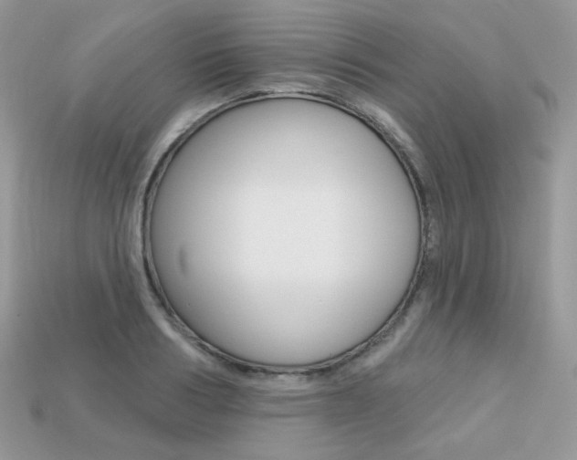 X0000113230986200909100940