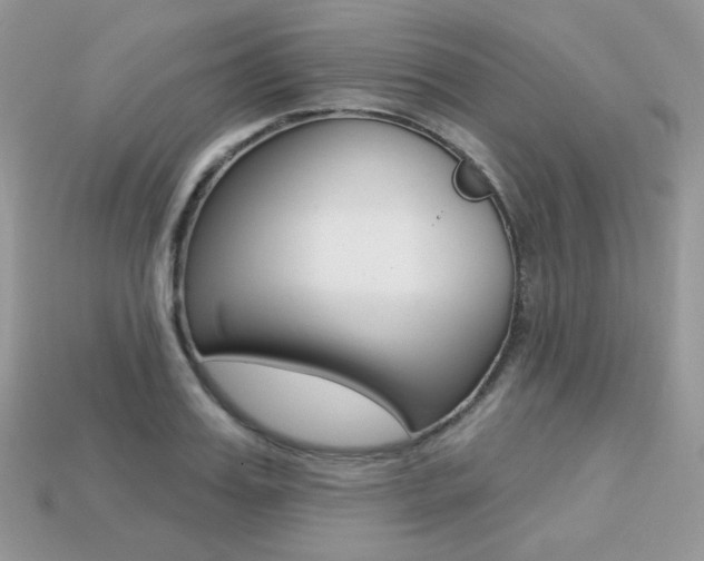 X0000113230987200909100940