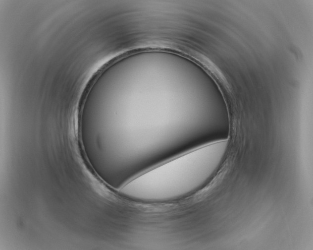 X0000113230988200909100940