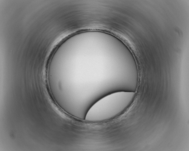 X0000113230990200909100940