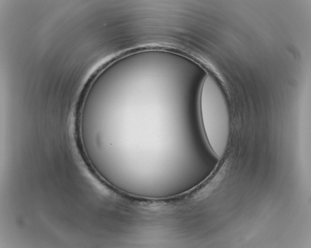 X0000113230991200909100940