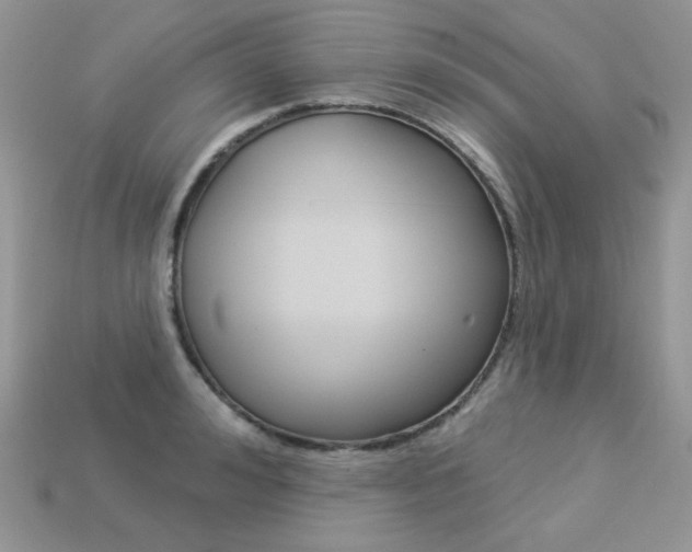 X0000113230992200909100940