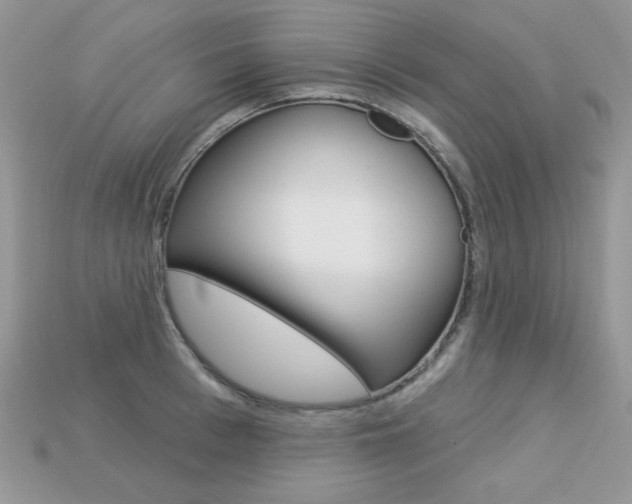X0000113230993200909100940