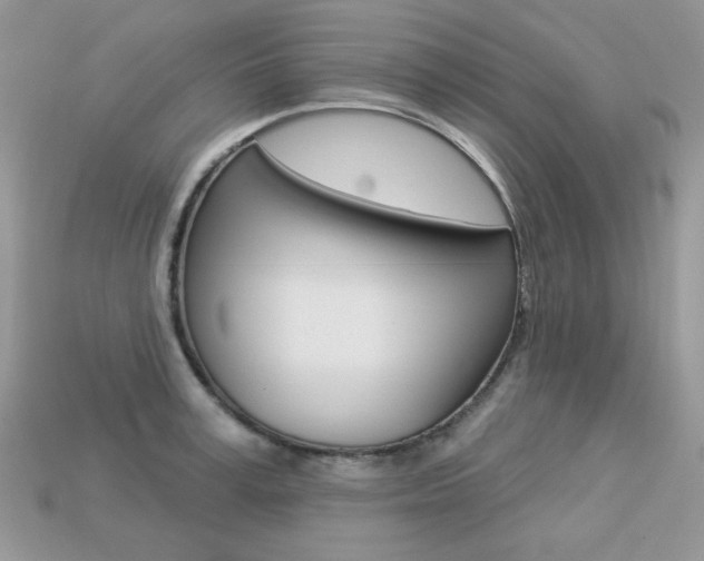X0000113230995200909100940