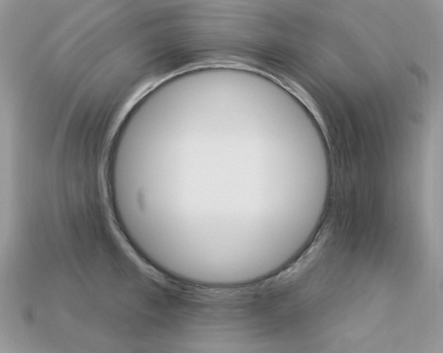 X0000113230997200909100939
