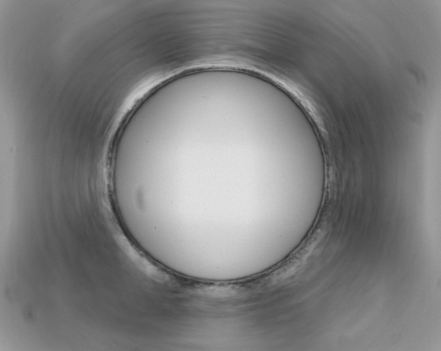 X0000113230998200909100939