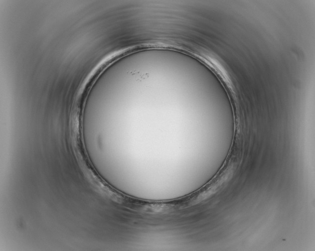 X0000113231000200909100939