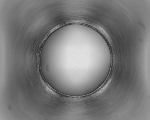 X0000113231001200909100939