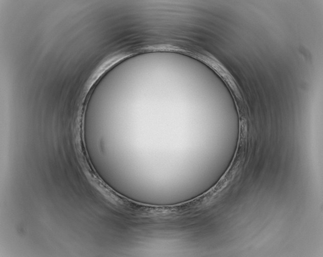 X0000113231002200909100939