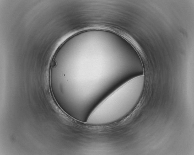 X0000113231004200909100939