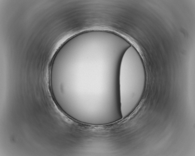 X0000113231006200909100939