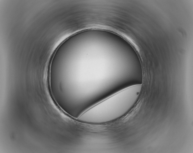 X0000113231007200909100939