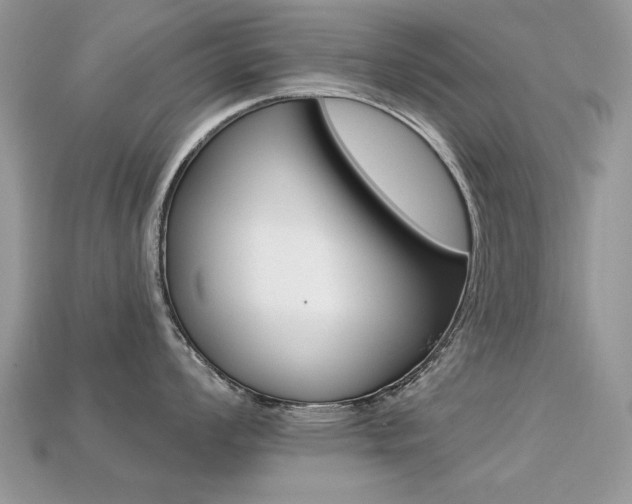 X0000113231008200909100939