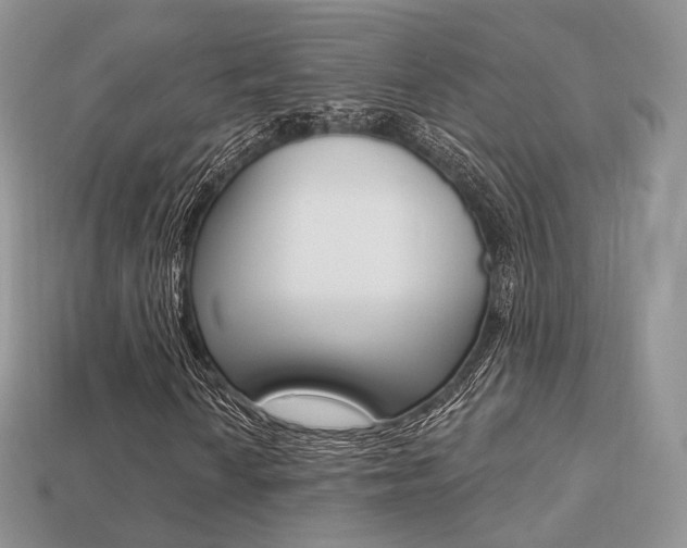 X0000113231010200909100939