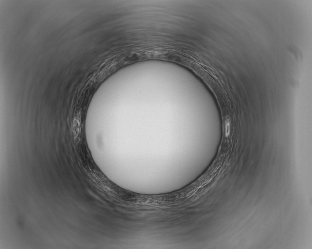 X0000113231011200909100939