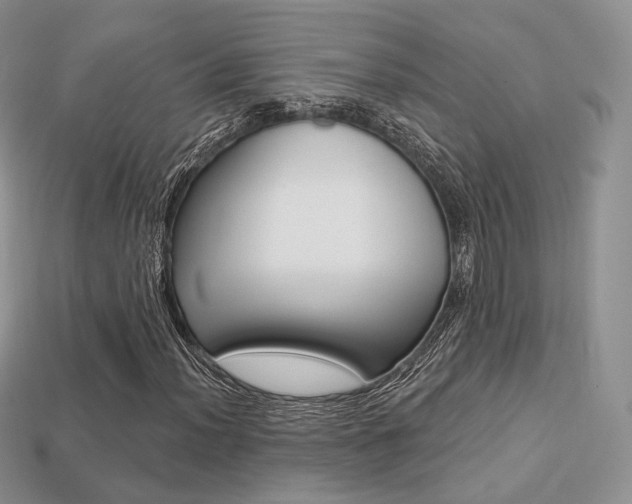X0000113231012200909100939