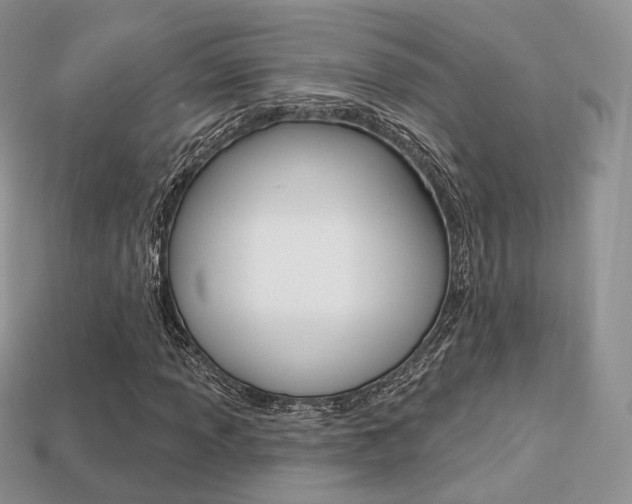 X0000113231013200909100939