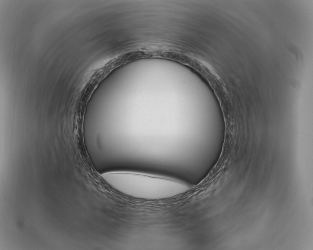 X0000113231016200909100939