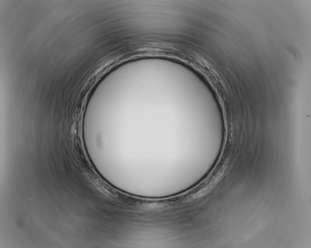 X0000113231017200909100939